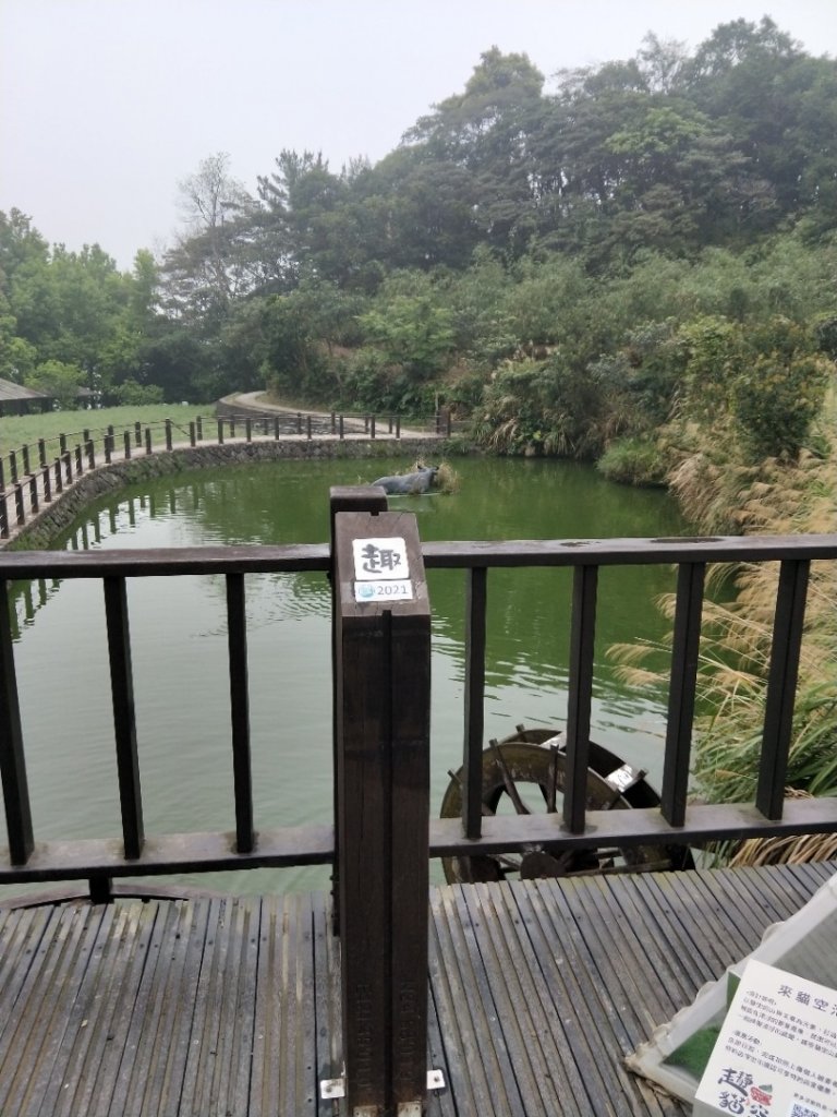 臺北大縱走第七段_1322501