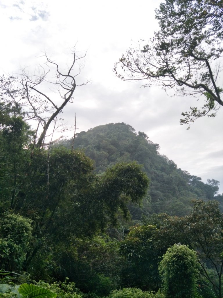 暗影山步道_1923696