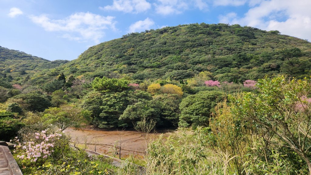 臺北大縱走第一段加碼版，忠義山，向天山，面天山，永春寮環狀步道，四季長廊觀景台，鳳梨宅，大屯自然公園_2060143