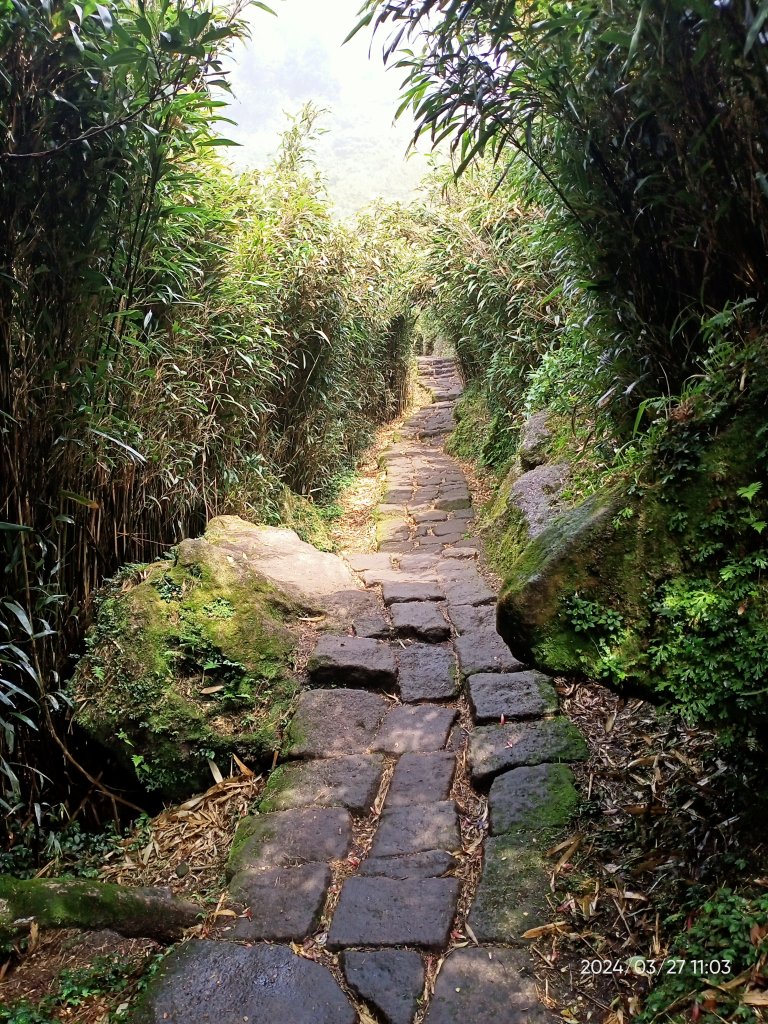 【臺北大縱走 3】冷水坑→七星山東峰→冷擎步道→牛奶湖→菁山吊橋_2468554