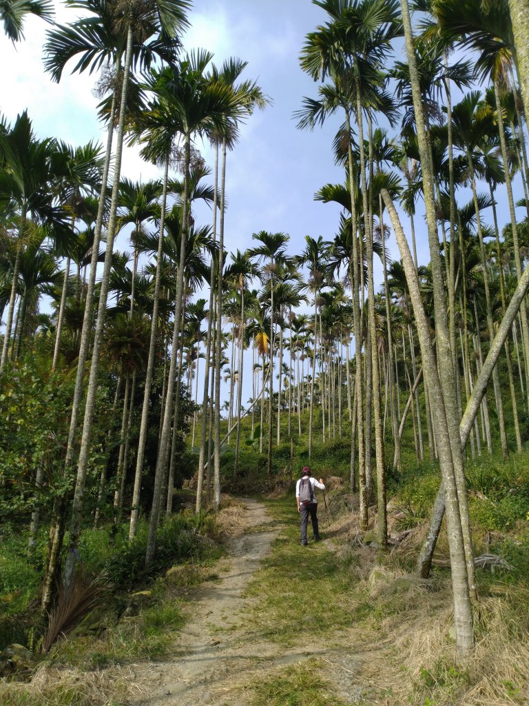2020-2021 後棟仔 大尖山 二尖山_1527125