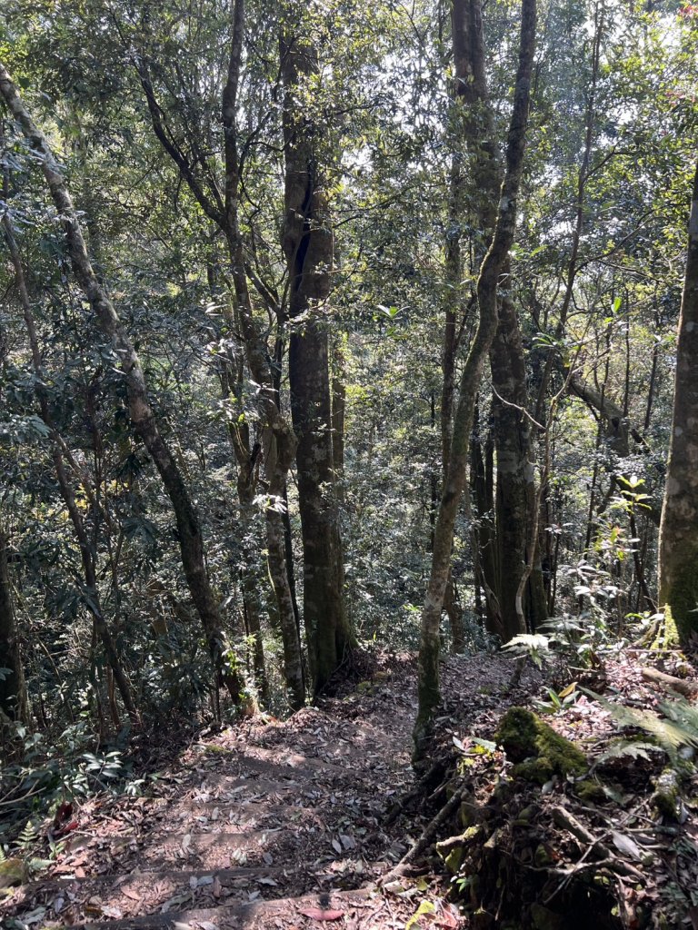 小百岳-石壁山_2742538