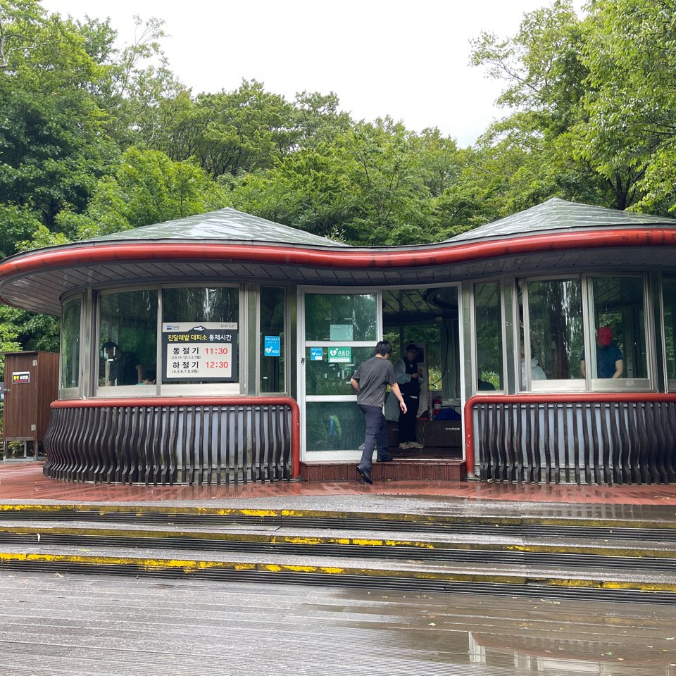 1140811 KR 漢拏山杜鵑花田避難所-紗羅岳觀景臺_2860103