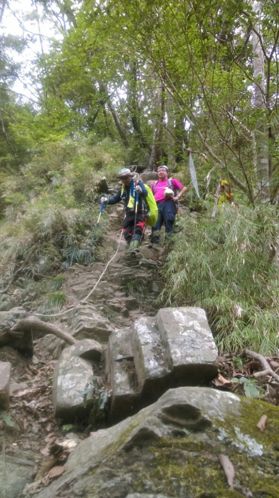 20160211苗栗泰安鄉虎山_31207