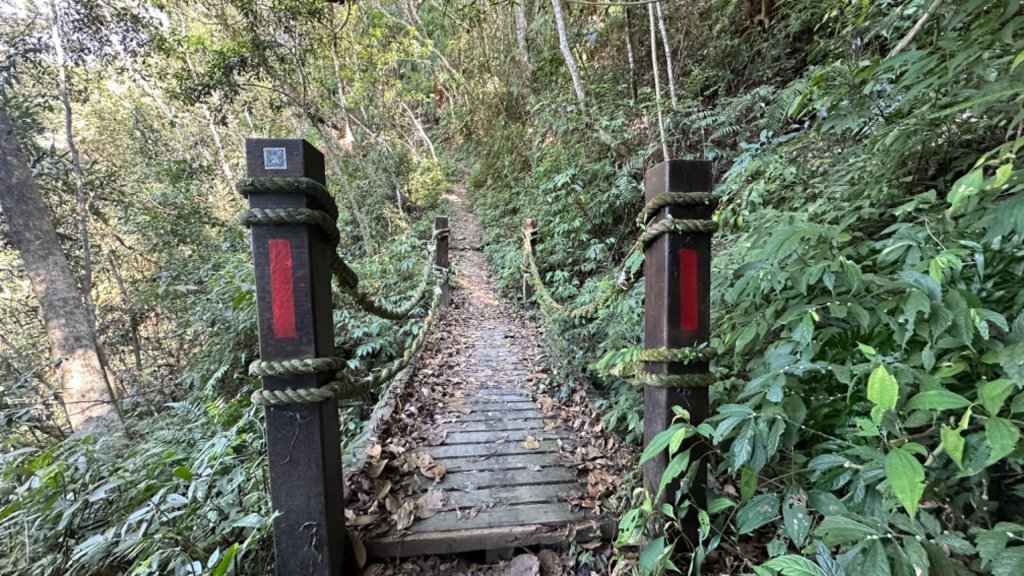 裡冷上唐麻丹O繞+蝴蝶谷_2742917