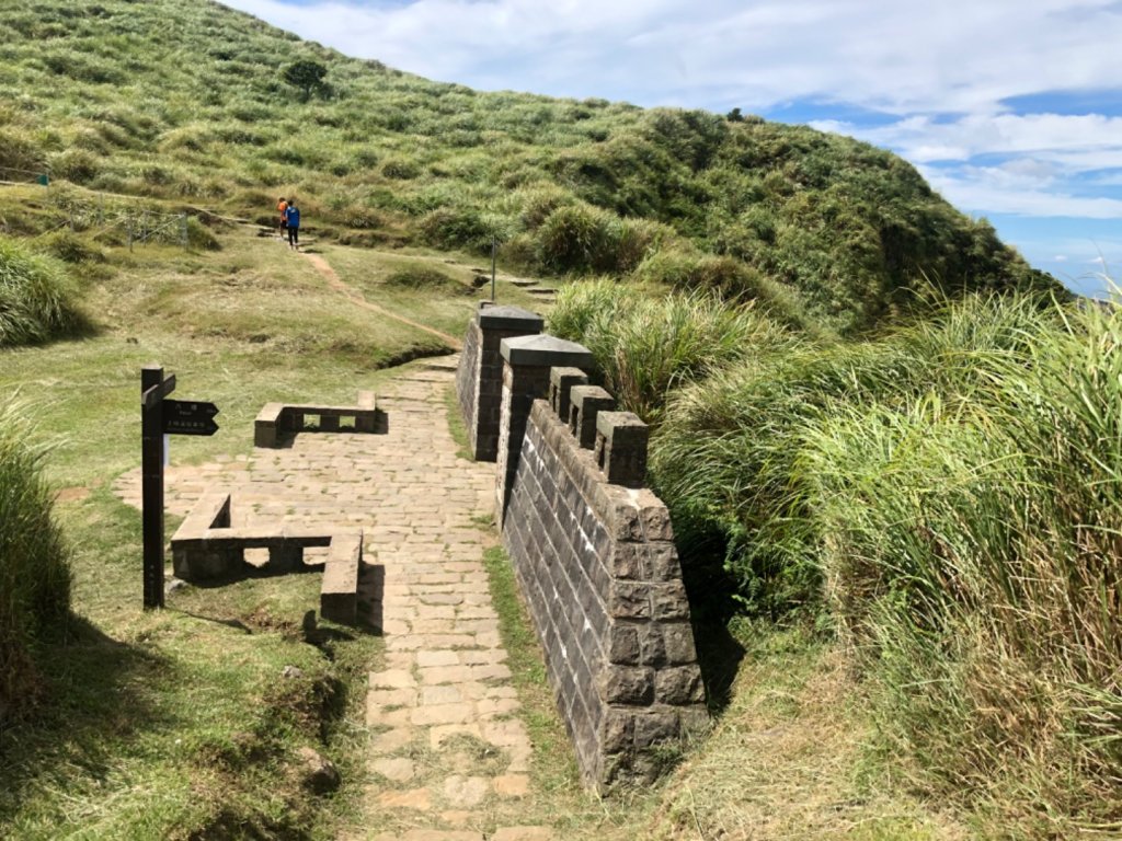 擎天崗_1106972