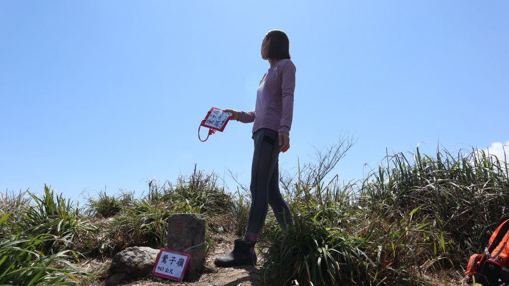 鶯子嶺山登山健行趣(效山)_2070519
