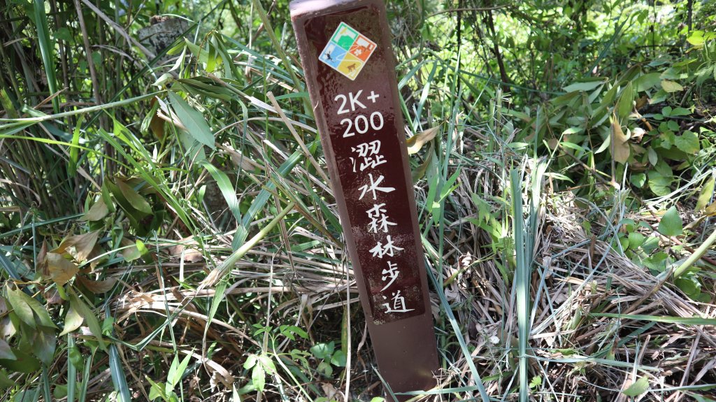 澀水森林步道登山健行趣(步道)_2259853