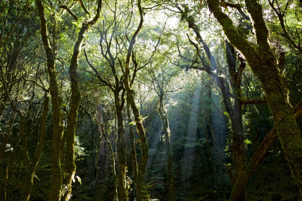 谷關七雄：八仙山封面圖
