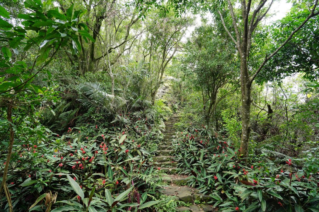 臺北 南港 南港山、拇指山、象、獅、豹、虎、四分里山、茅草埔山_2803435