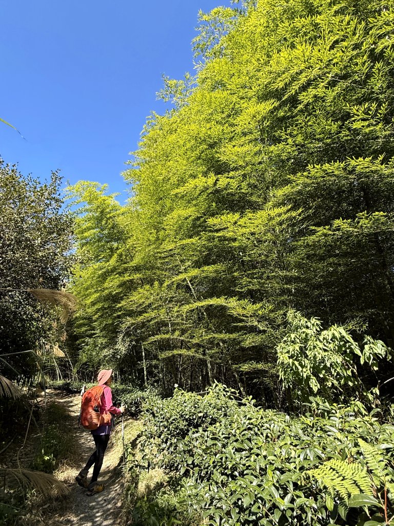 巴蘭縱走(霧社-埔里) 2024.12.01_2666879