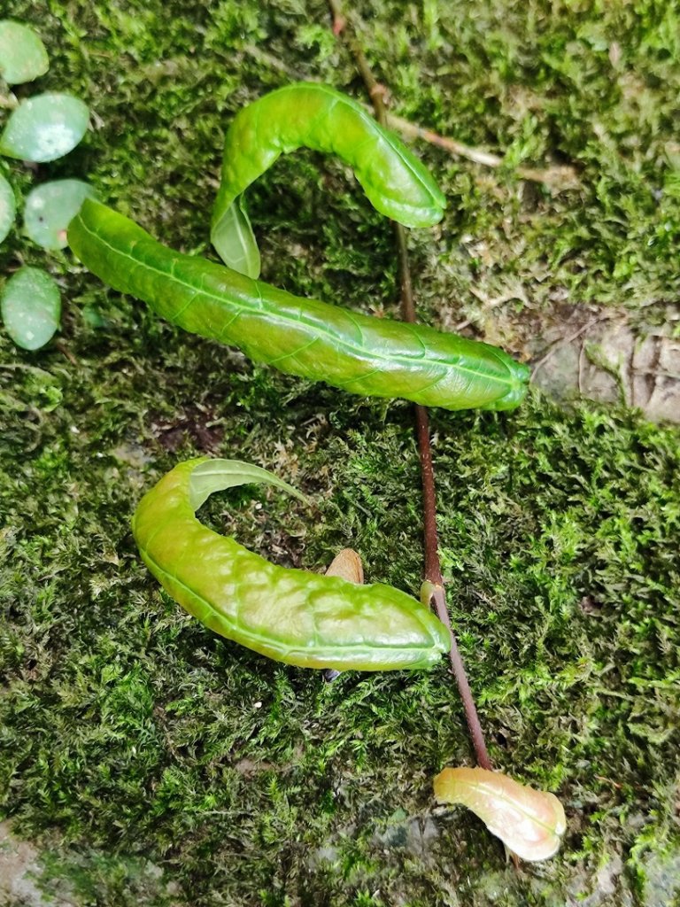 滿月圓_2964541