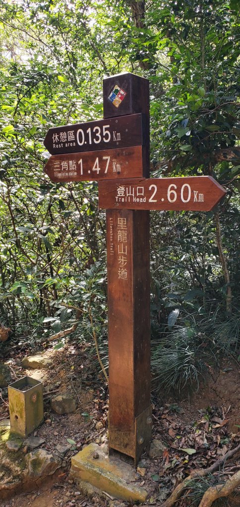 2023-01-27里龍山自然步道_2011089