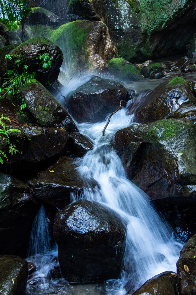 馬武督探索森林_2930698