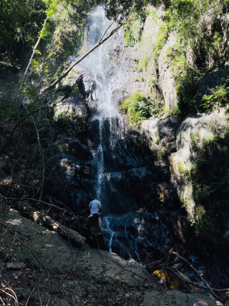 1140825司馬庫斯新巨木園區-司立富瀑布-部落觀景台_2871224