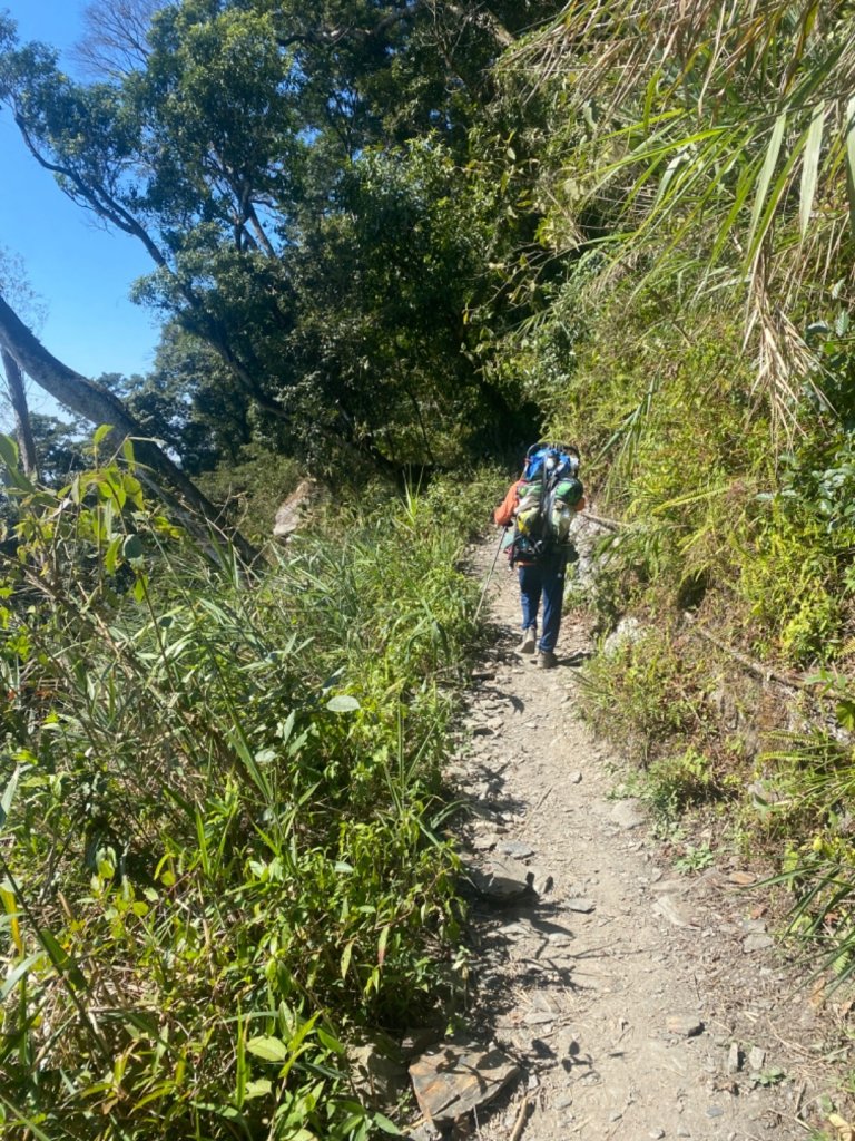 北大武山。二訪之雲海不在家_1487409