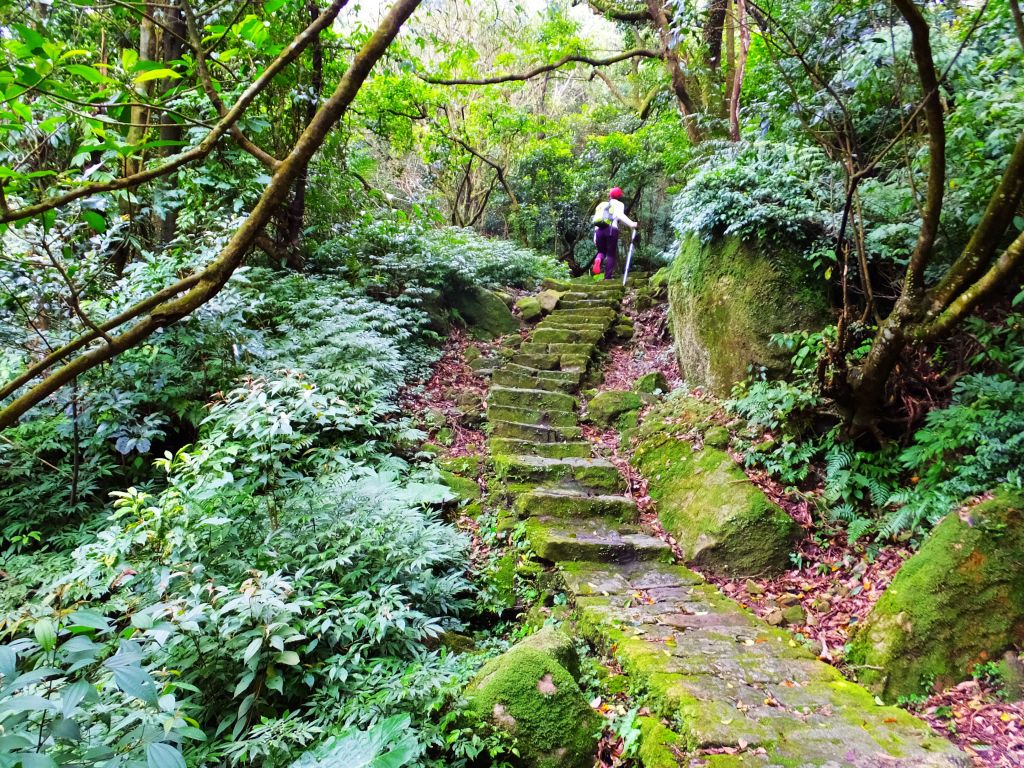 頂山石梯嶺步道_270107