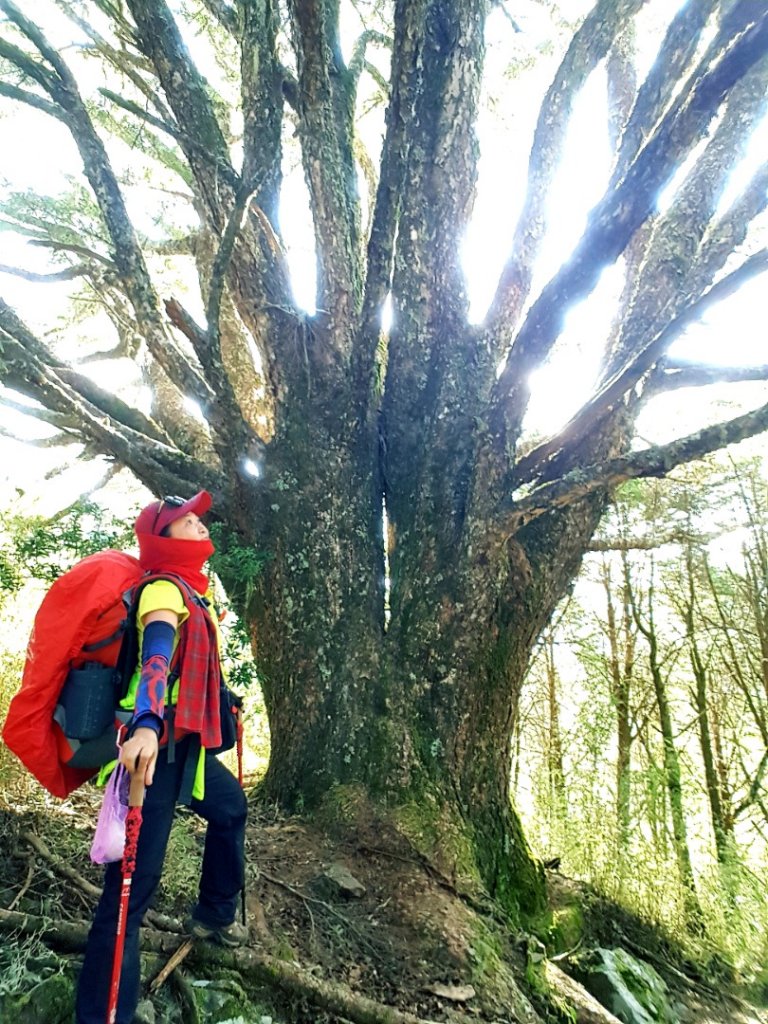 難忘的武陵四秀之品田山.池有山.桃山_854221