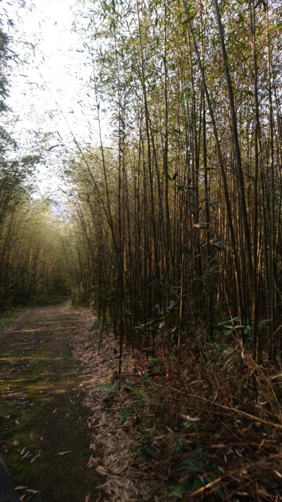 那結山（嘎色鬧部落線）_893410