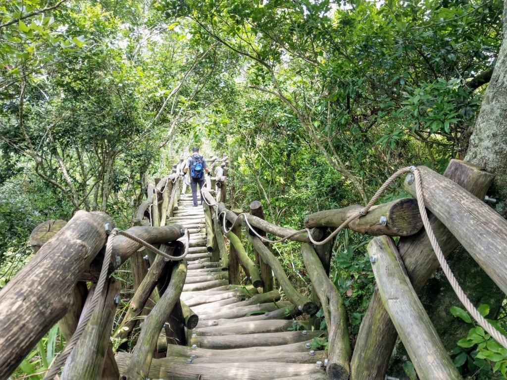 頭嵙山(小百岳#41)大坑4,5,1步道_1003686
