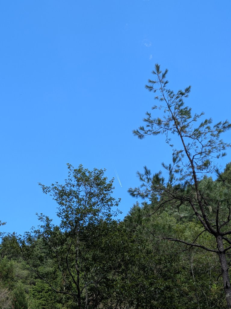 結界縱走三日(結城山、境界山、檜山)_2920917