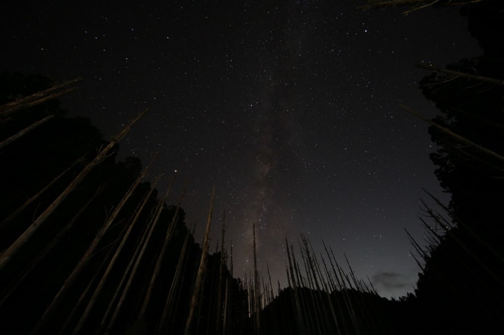 水樣森林 第一次在山裡過夜_658478