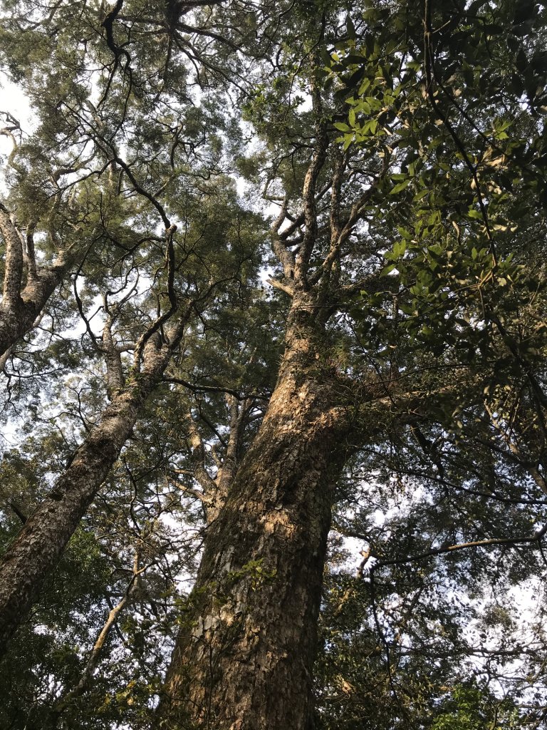 霞喀羅大山,佐藤山順訪佐藤駐在所_1324583