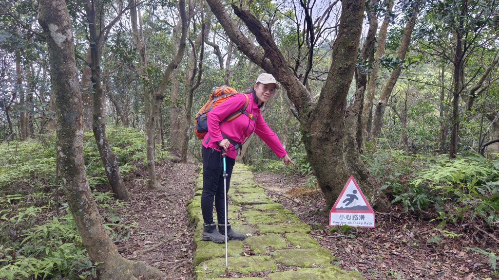 (姨婆趴趴走)第四十七集:新北土城大暖坑山等諸峰攀登連走_2738794