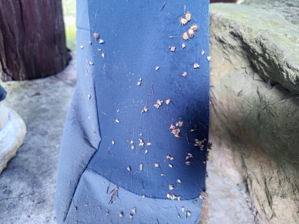 烏山山系北北段六阿縱走_2649504