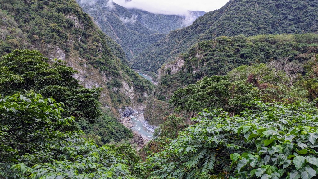 山月吊橋,砂卡噹,東大門_2384132