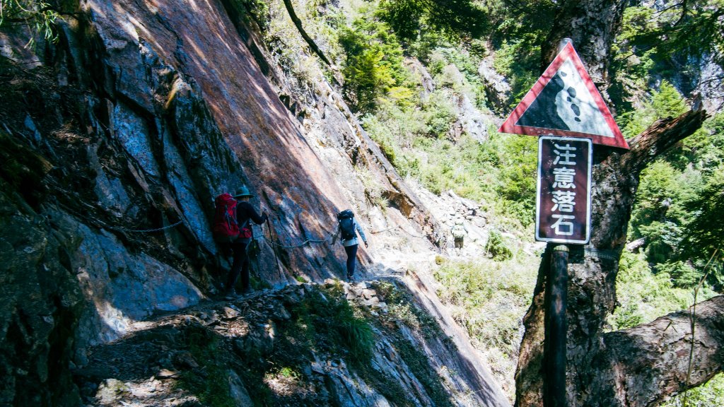 玉山主西_1895804