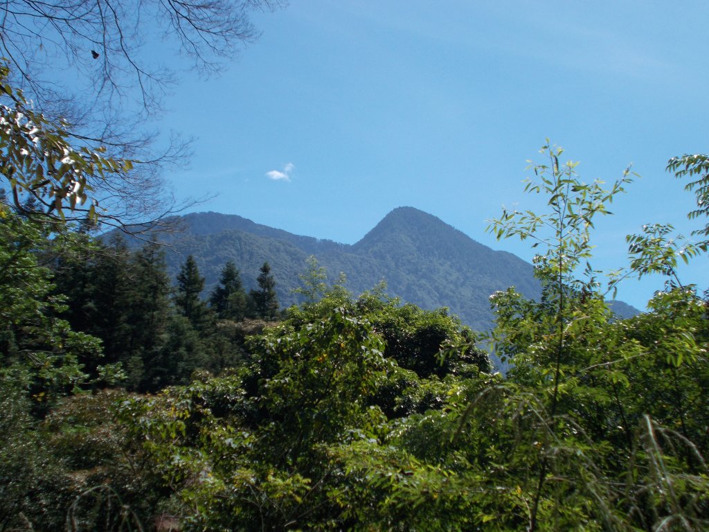 治茆山,治茆山南峰,巒山堂_691225
