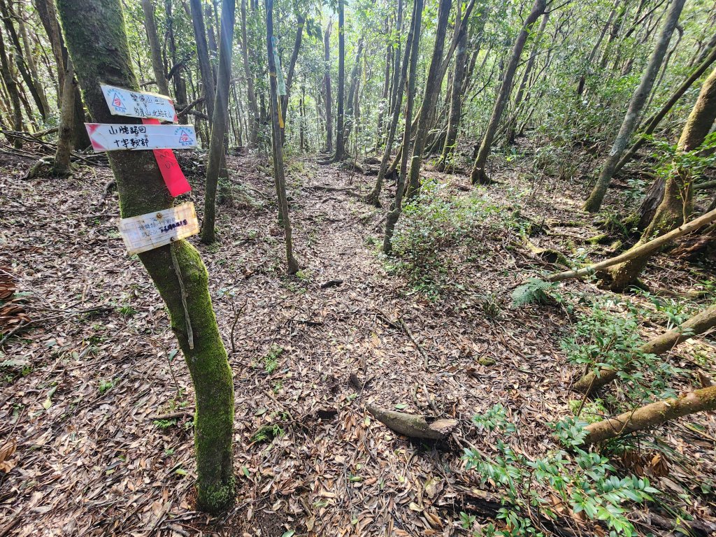 20250302樂佩山_2754732