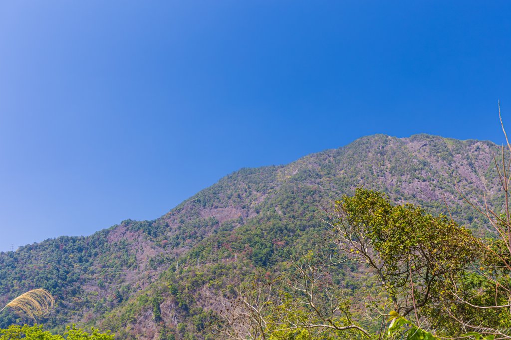 谷關七雄_唐麻丹山_3015603