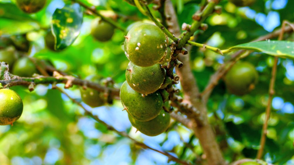 仁武觀音湖_2954916