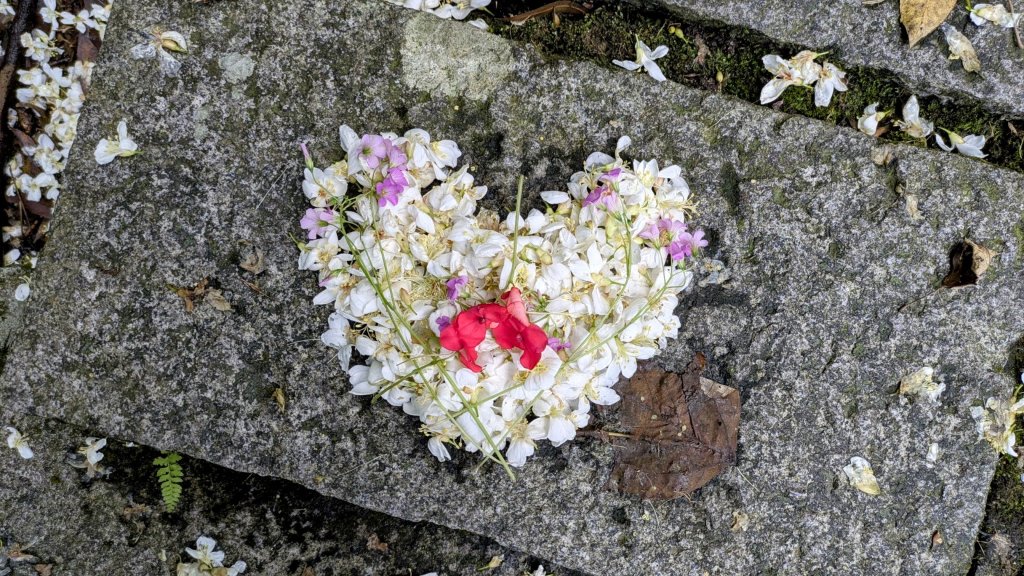 大尖山。走向_2770853