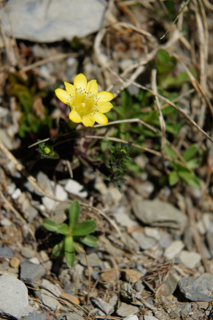 二訪南湖大山_137683