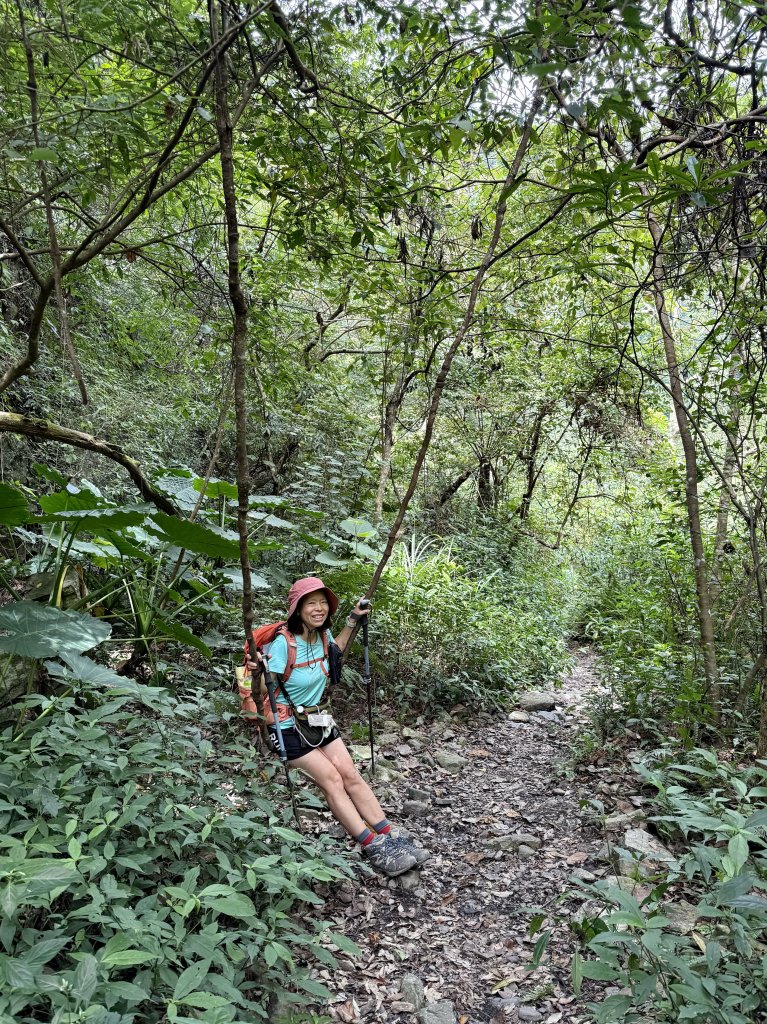 唐麻丹+蝴蝶谷O繞_2887845