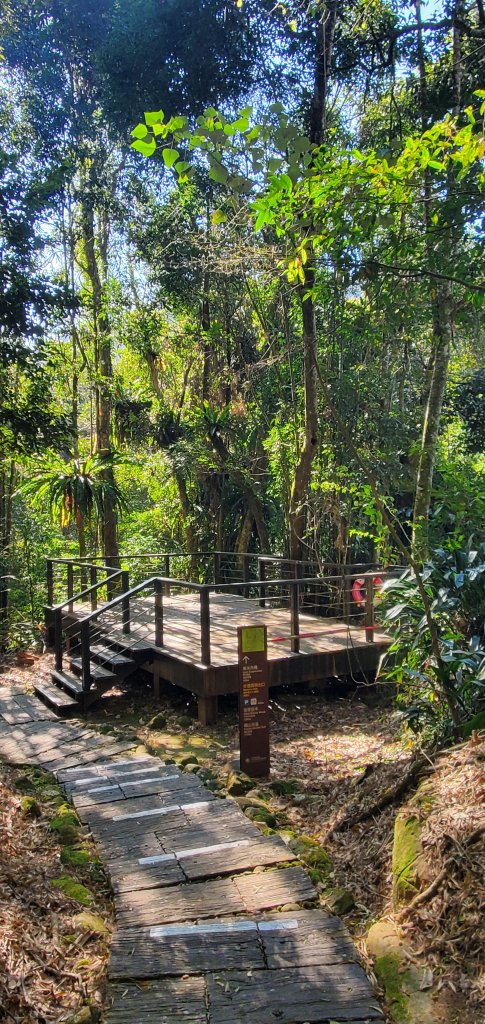 2025-01-30迷糊步道_2704442