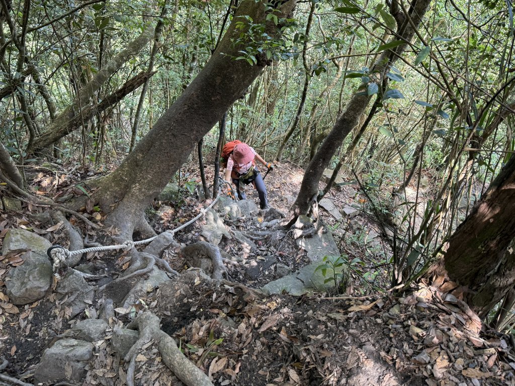 白毛山O繞+臭頭山 20250517_2791736