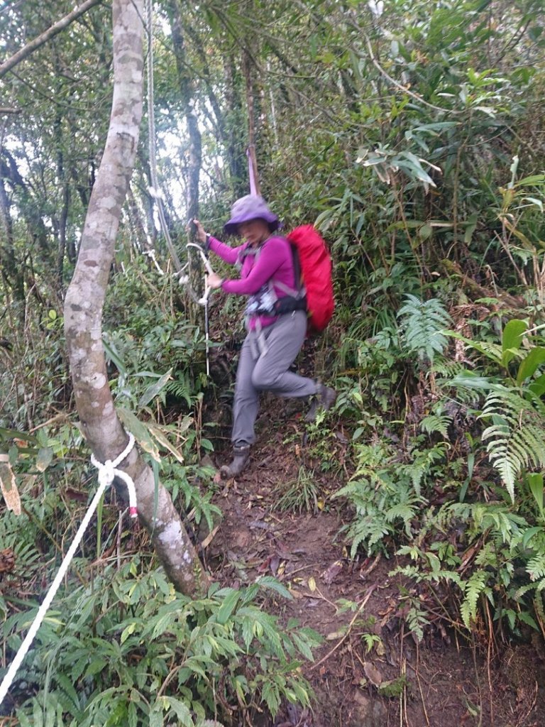 四堵古道、四堵山_2096728