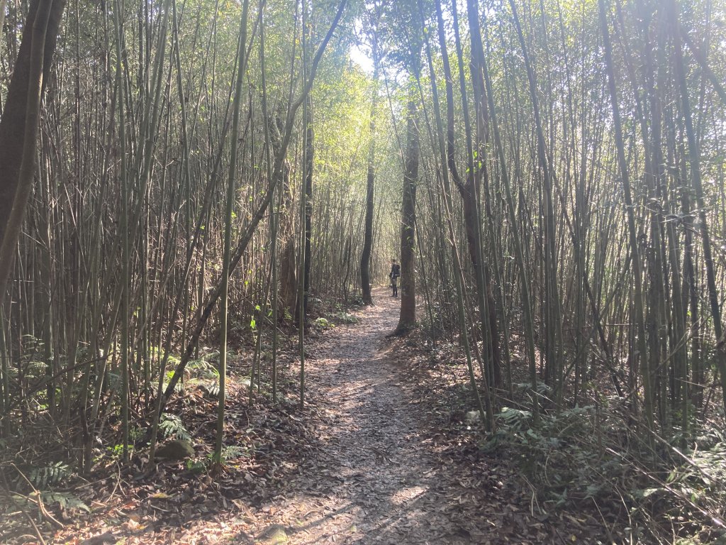 關刀山_2444781