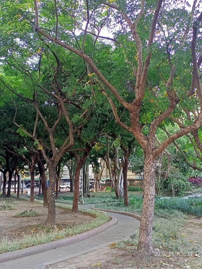 內湖碧湖公園、大港墘公園、宏匯瑞光廣場、文德三號公園、瑞陽公園_2400386