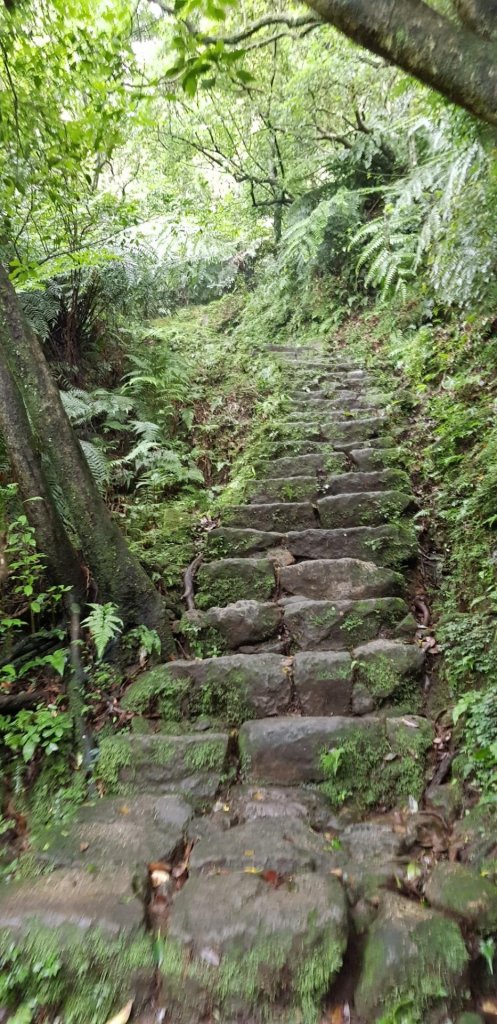 苗圃登山口-七星山主東峰-夢幻湖_618890