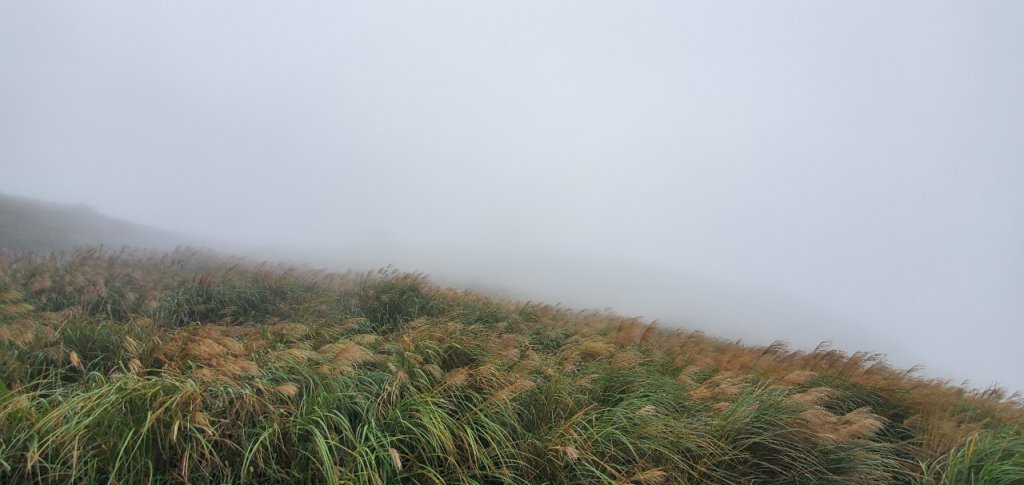 2021-1010台北市北投-大屯山_1485652