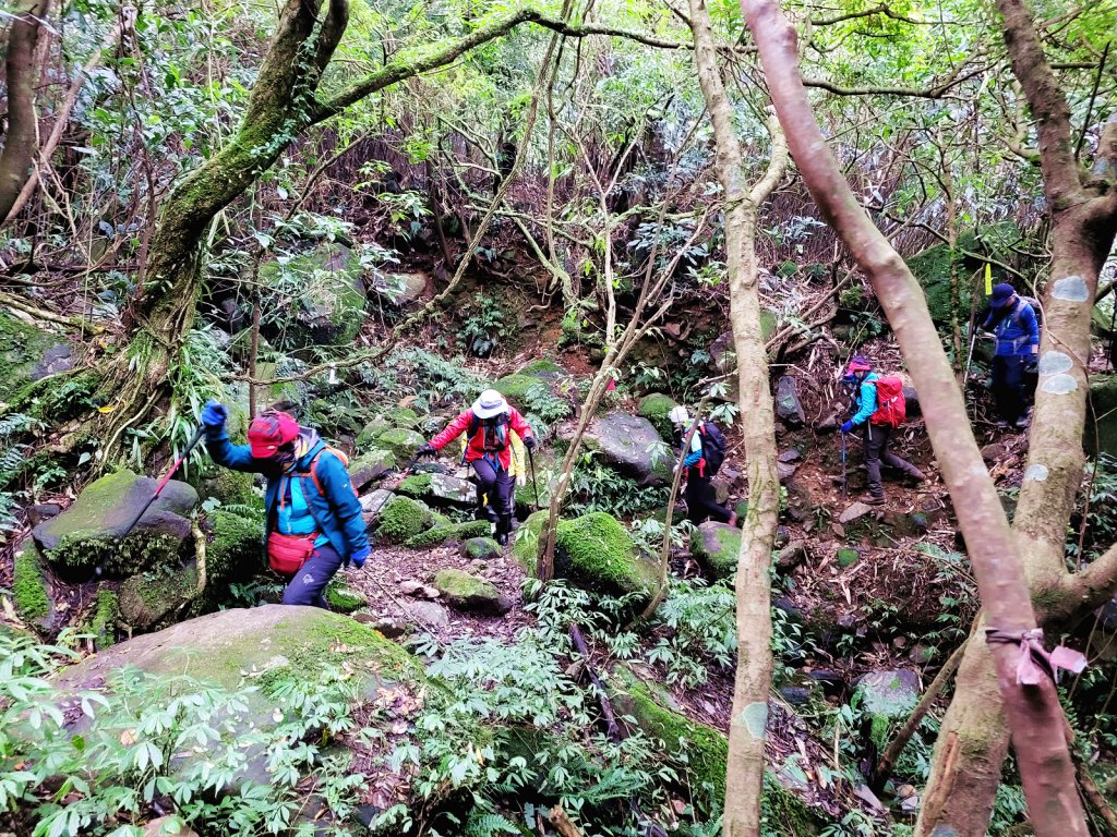 【台北抺茶山】小觀音山走春_2010738