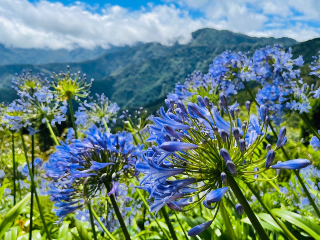 1110703-5大小霸尖山06雪霸農場_1772757
