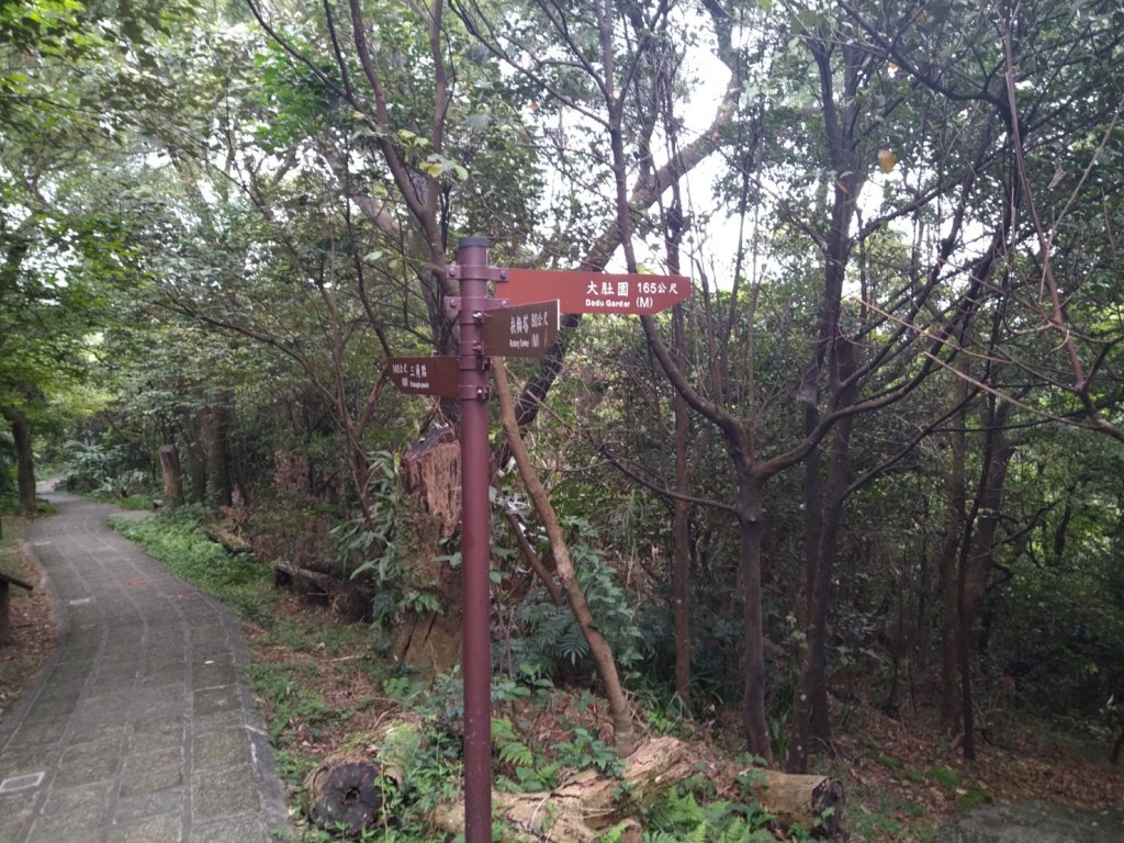 【小百岳07】紅淡山完成-20_1317317