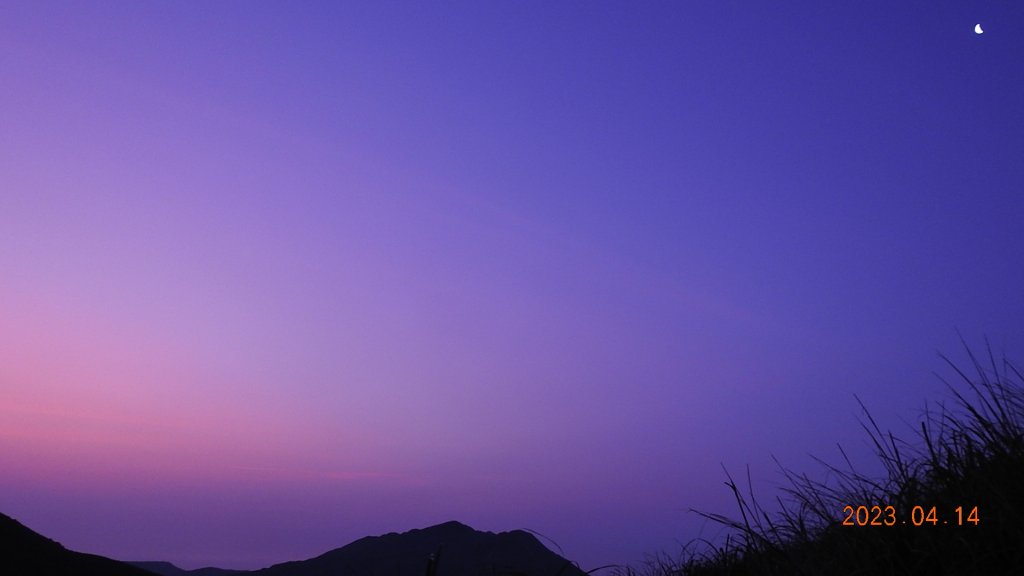 邂逅江湖傳說已久鐘萼木(據說冰河孓遺植物)，再見差強人意的月光/日出雲海_2112328