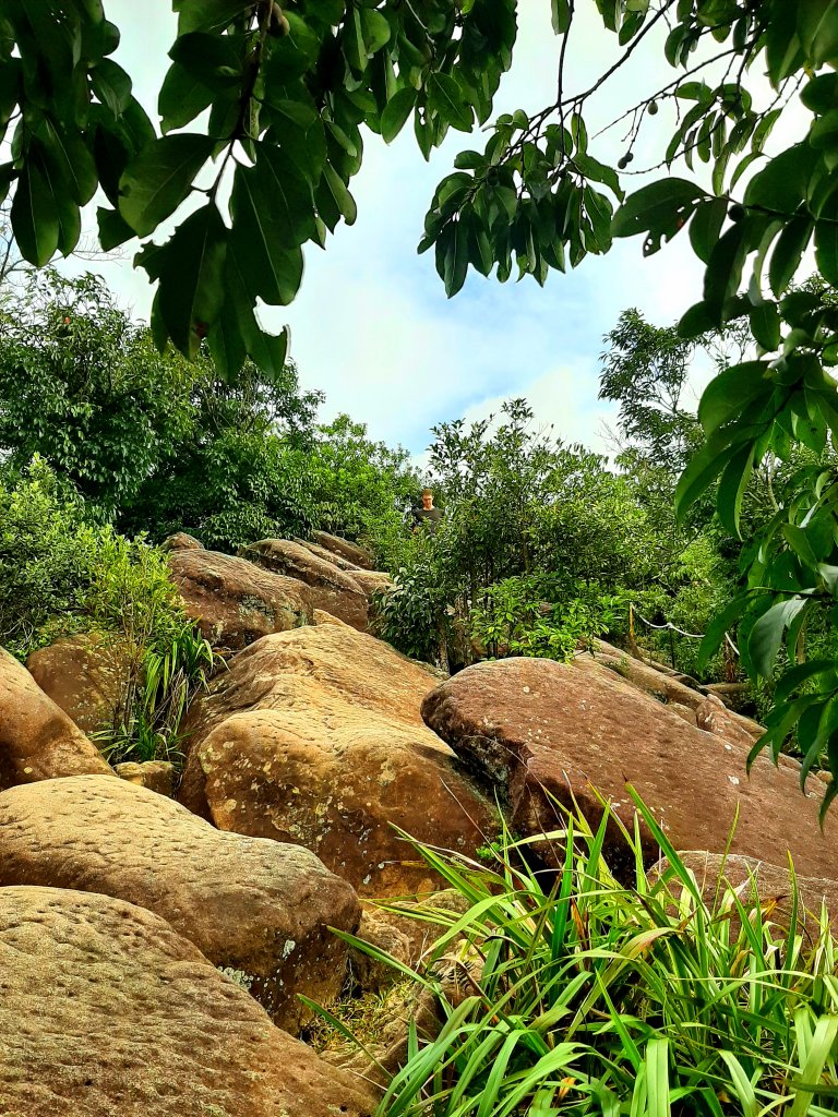 環台步道馬拉松之金面山、軍鑑岩_1920080